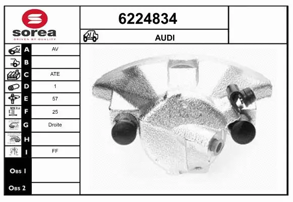Brake Caliper (6224834)