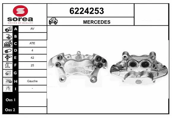 Brake Caliper (6224253)