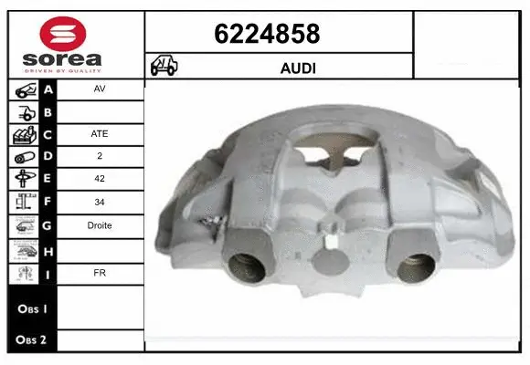 Brake Caliper (6224858)