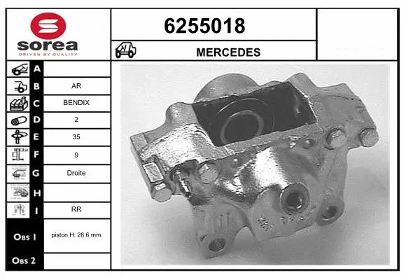 Brake Caliper (6255018)