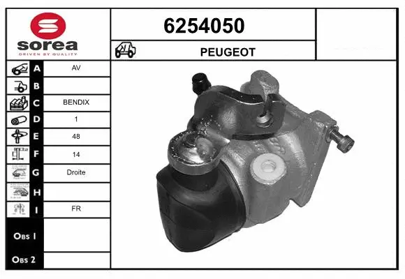 Brake Caliper (6254050)