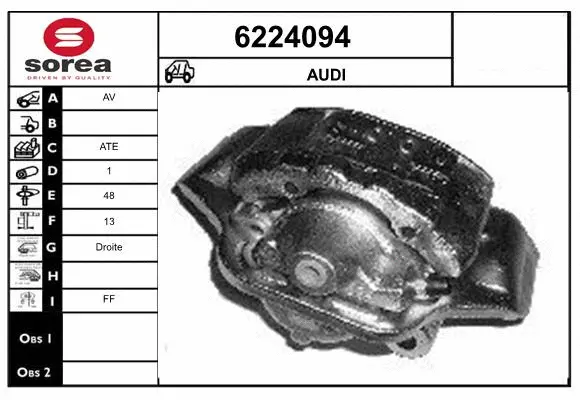 Brake Caliper (6224094)