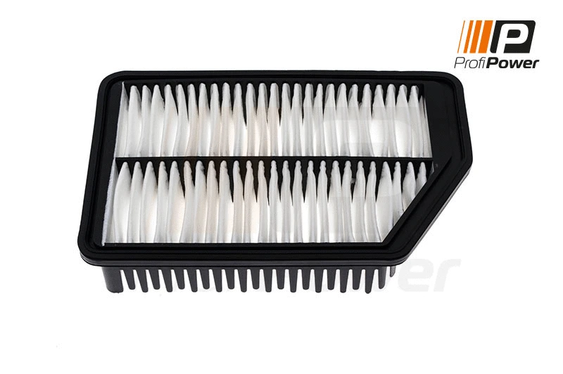 Air Filter (2F0155)