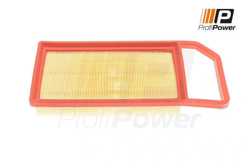 Air Filter (2F0099)