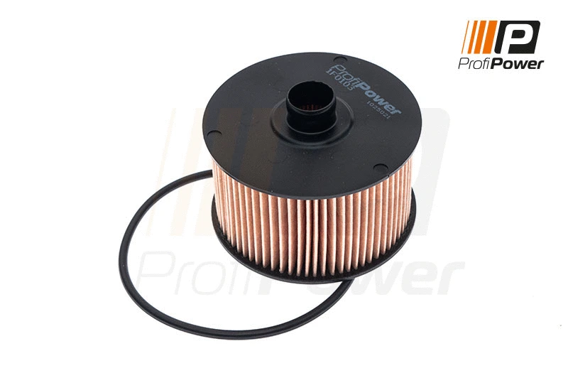 Oil Filter (1F0103)