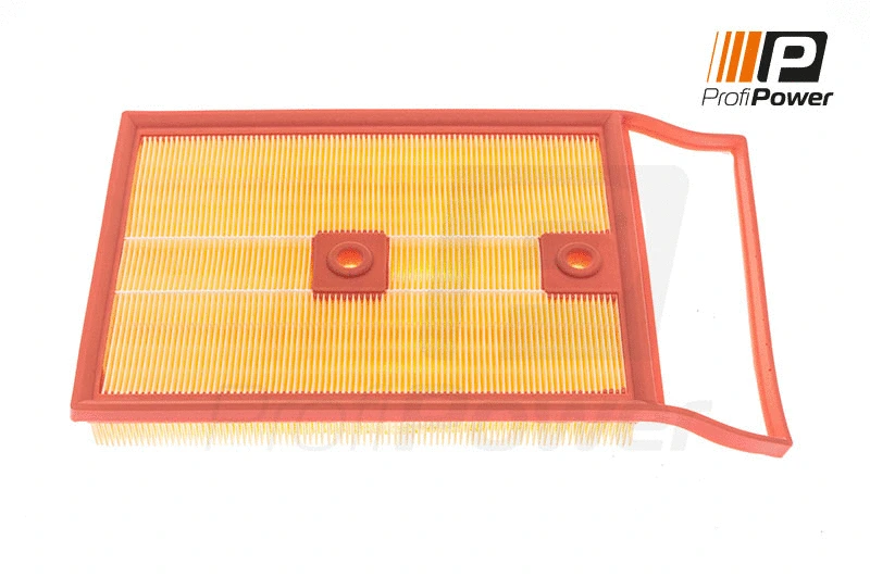 Air Filter (2F0095)