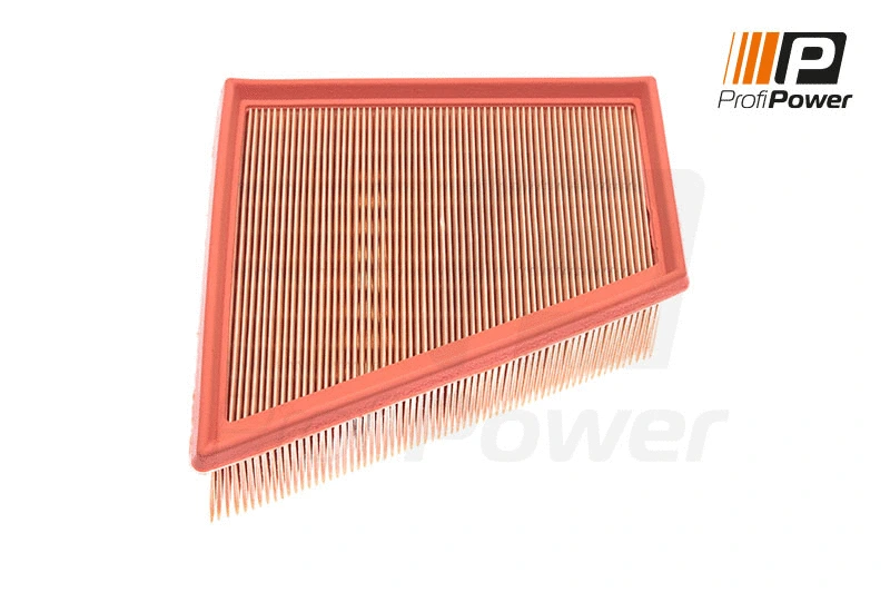 Air Filter (2F0021)