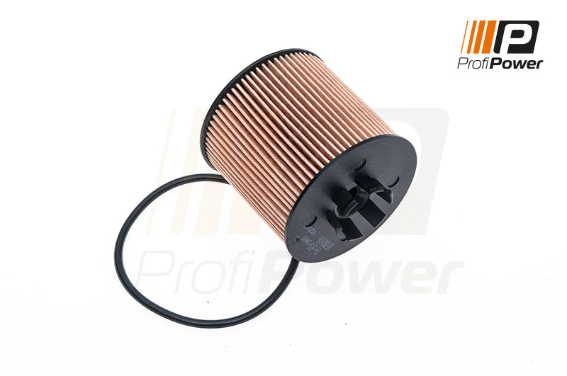 Oil Filter (1F0088)