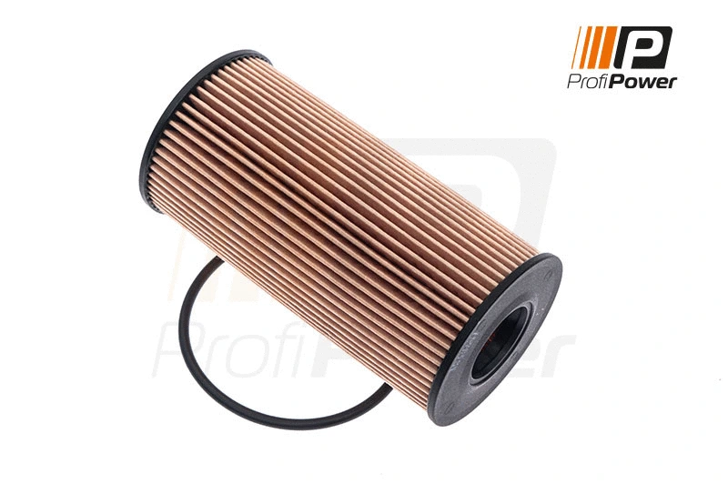 Oil Filter (1F0021)