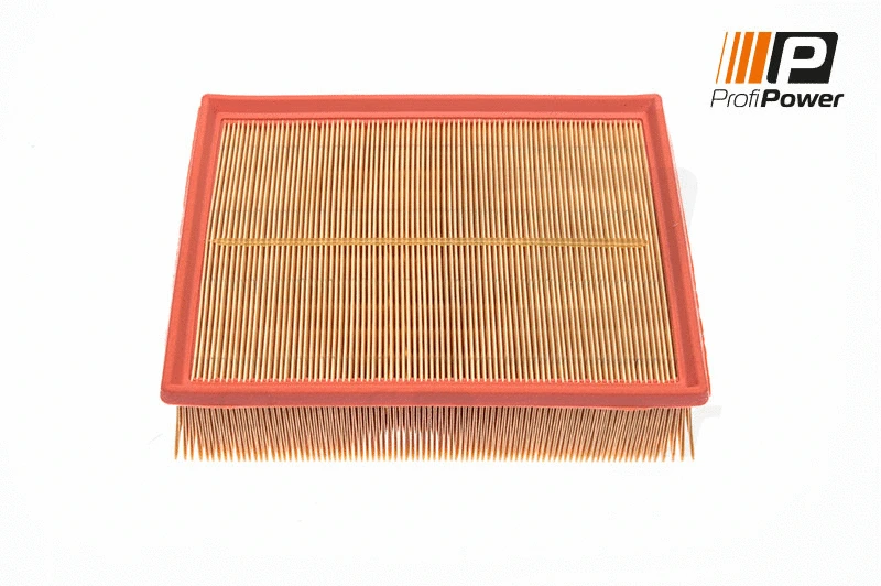 Air Filter (2F0007)