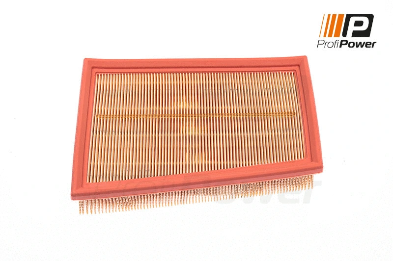 Air Filter (2F0052)