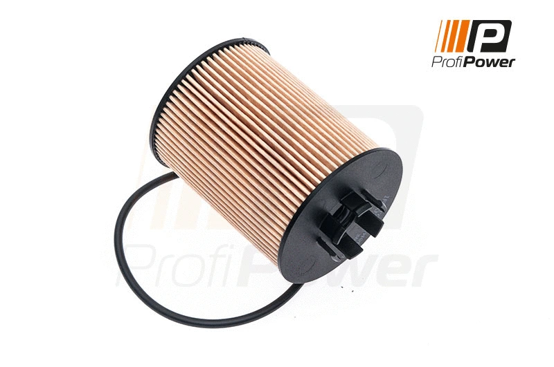 Oil Filter (1F0020)