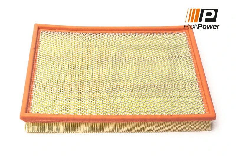 Air Filter (2F0181)