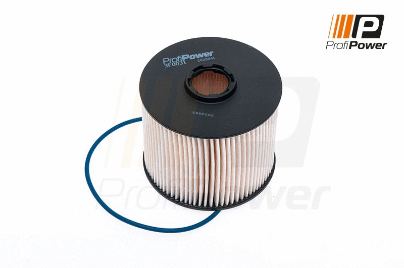 Fuel Filter (3F0031)