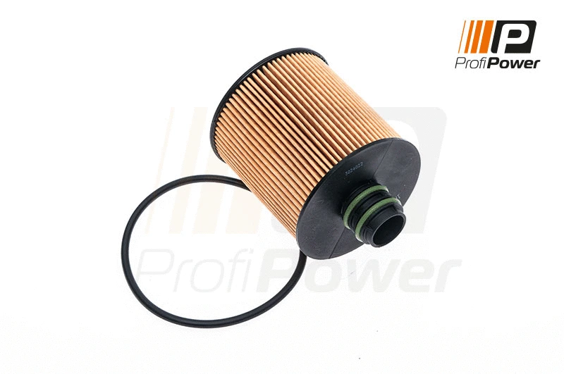 Oil Filter (1F0100)