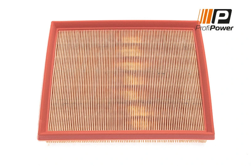 Air Filter (2F0043)