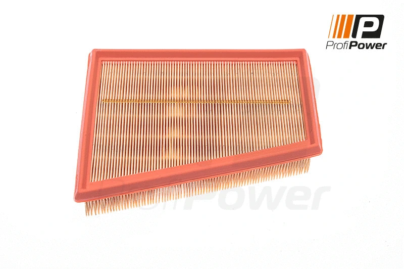 Air Filter (2F0033)