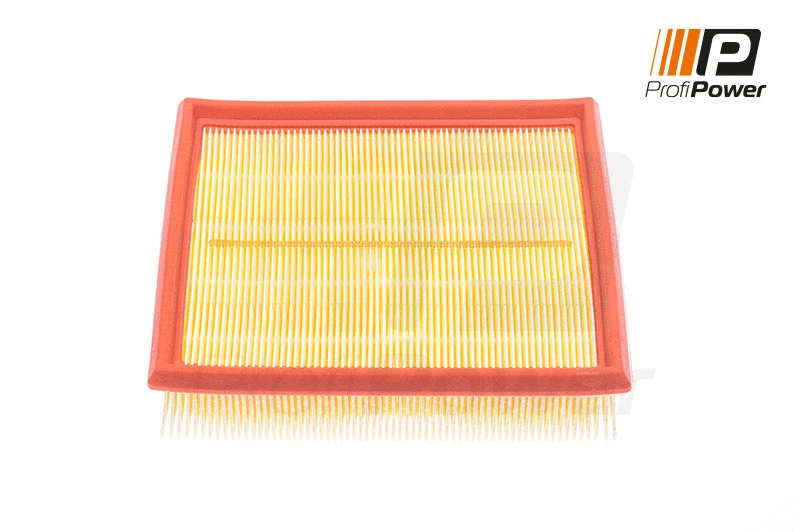 Air Filter (2F0151)