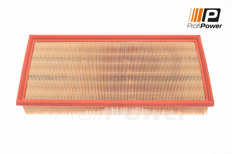 Air Filter (2F0087)