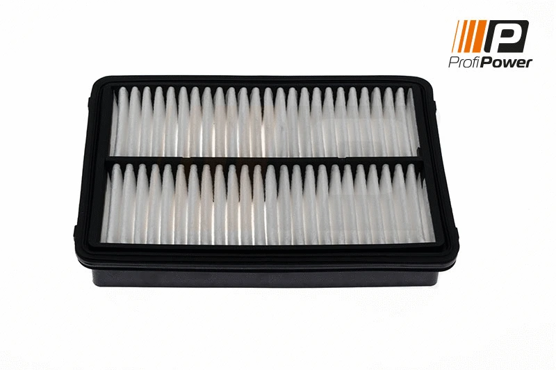Air Filter (2F0097)