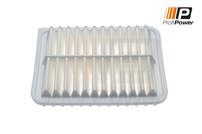 Air Filter (2F0065)