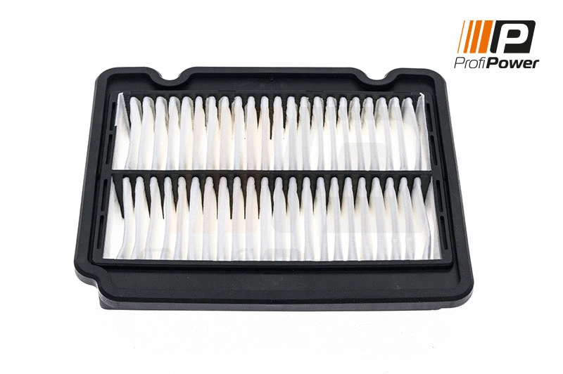 Air Filter (2F0136)