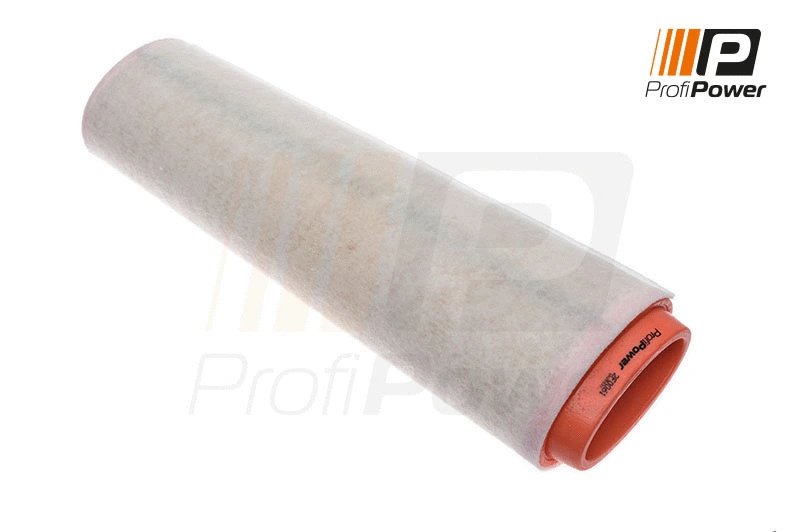Air Filter (2F0061)