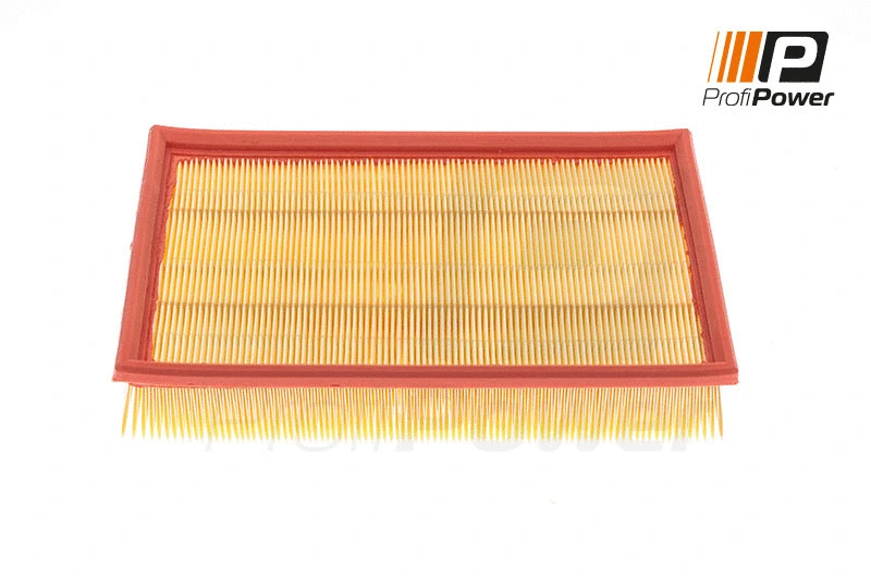 Air Filter (2F0076)