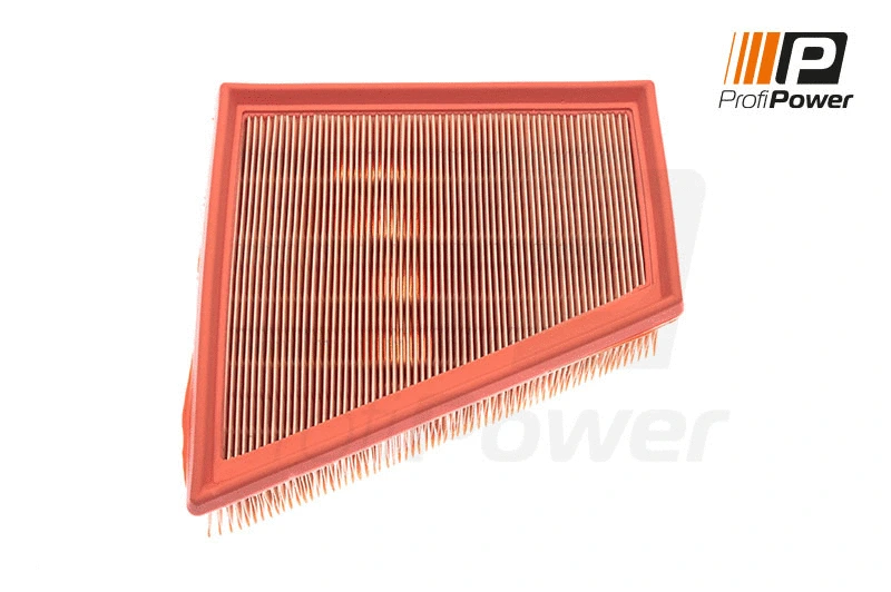 Air Filter (2F0031)