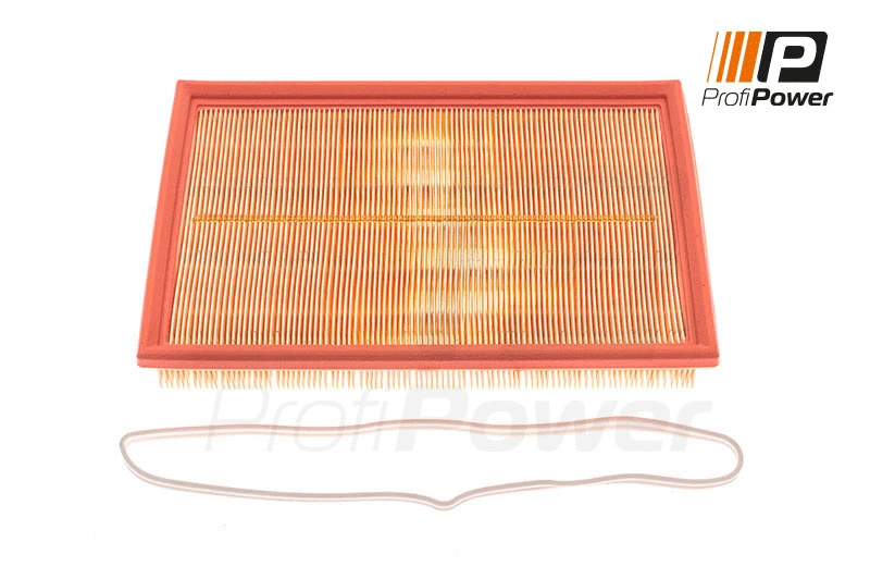 Air Filter (2F0034)
