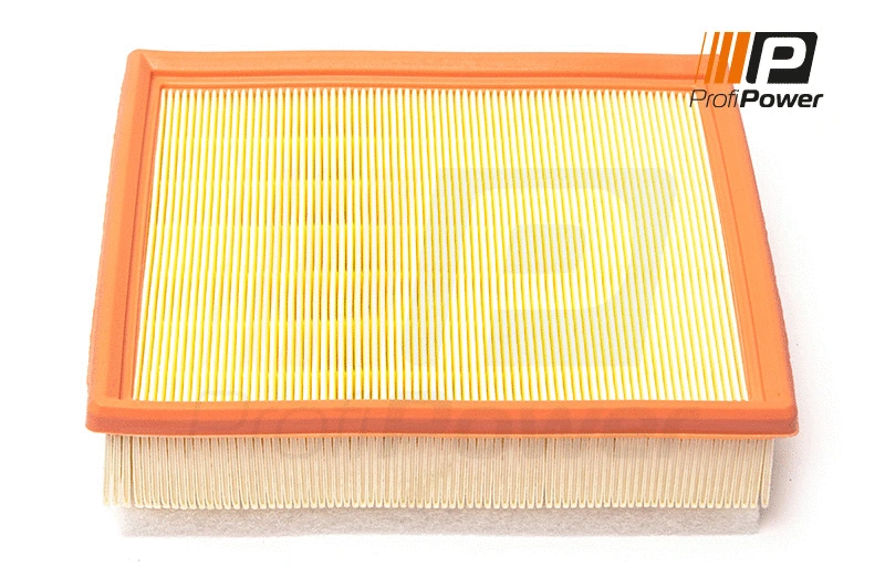 Air Filter (2F0165)