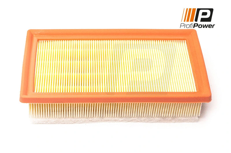 Air Filter (2F0194)