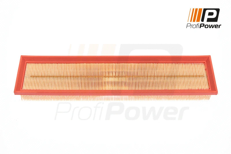 Air Filter (2F0118)
