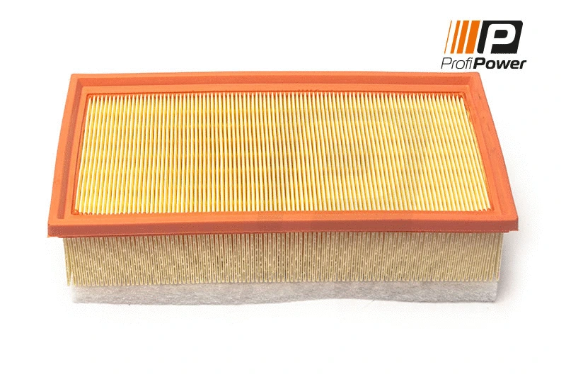 Air Filter (2F0172)