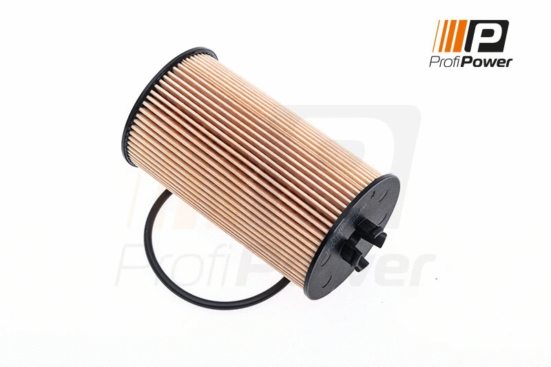 Oil Filter (1F0013)