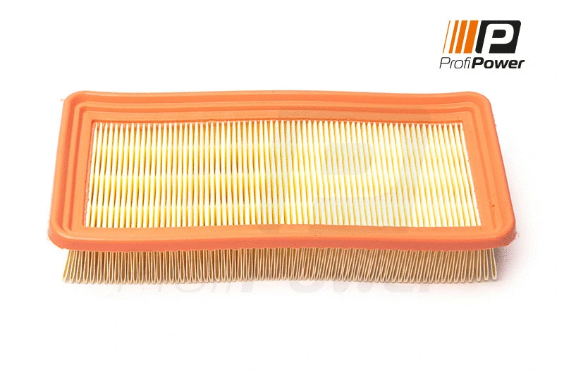 Air Filter (2F0173)