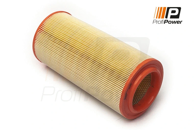 Air Filter (2F0197)