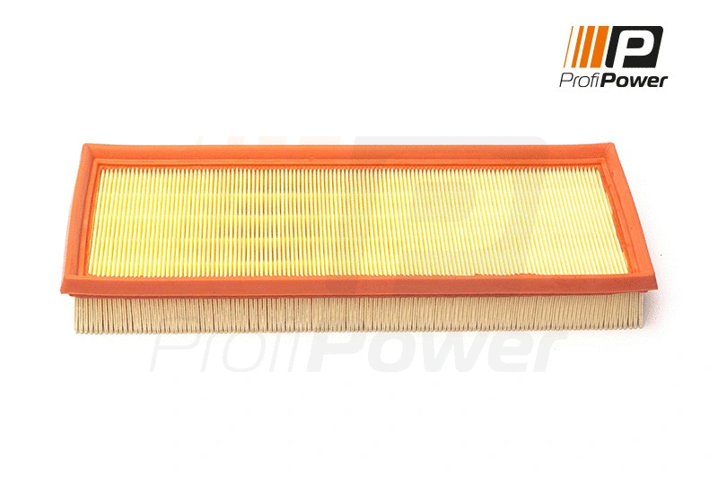 Air Filter (2F0191)