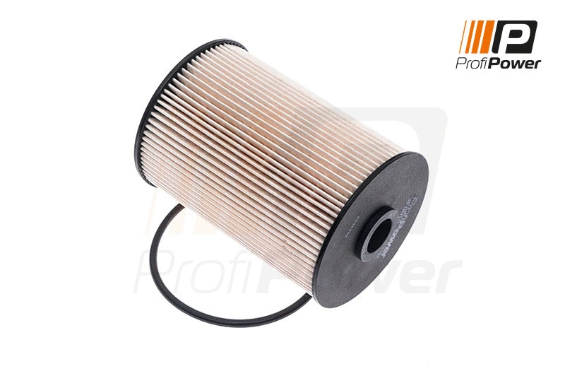 Fuel Filter (3F0019)