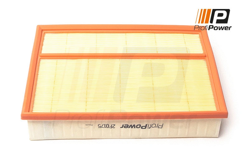 Air Filter (2F0175)