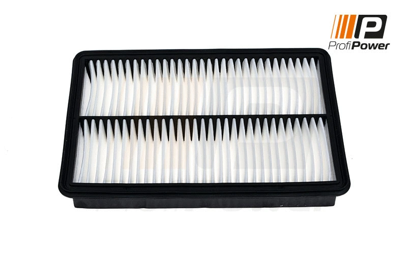 Air Filter (2F0154)