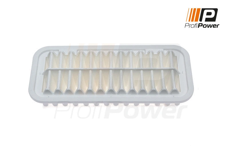 Air Filter (2F0027)