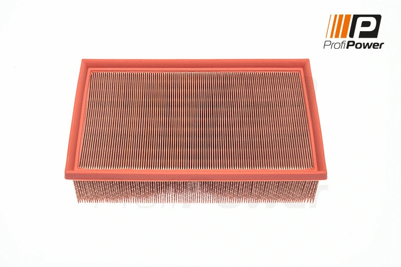 Air Filter (2F0020)