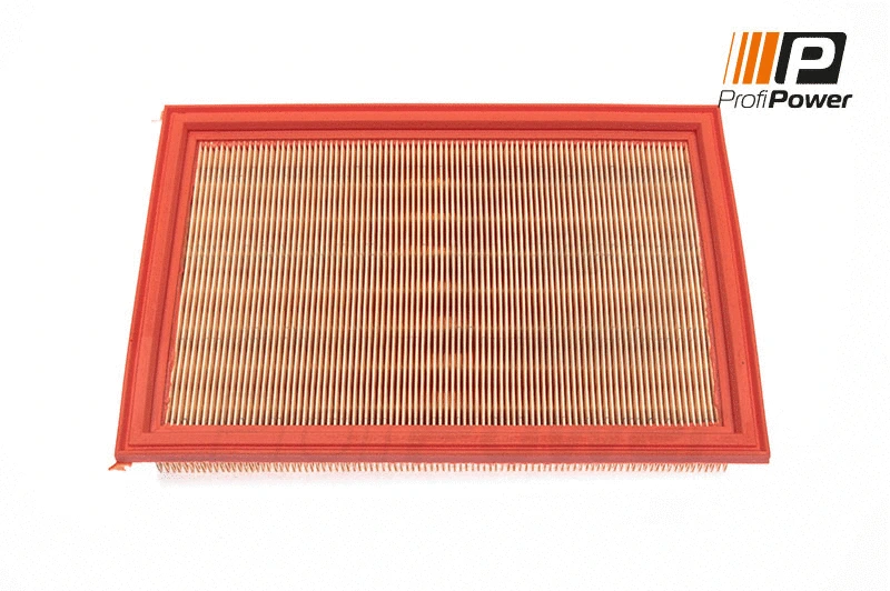 Air Filter (2F0042)