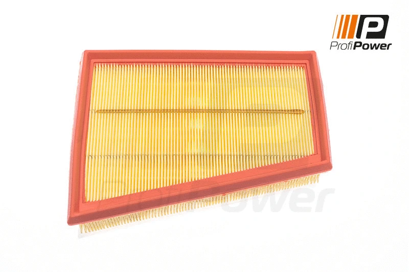 Air Filter (2F0145)