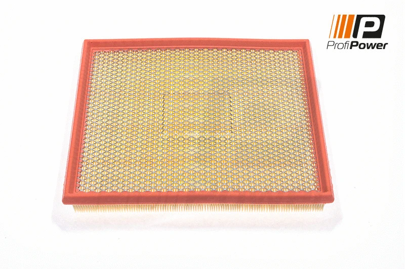 Air Filter (2F0049)