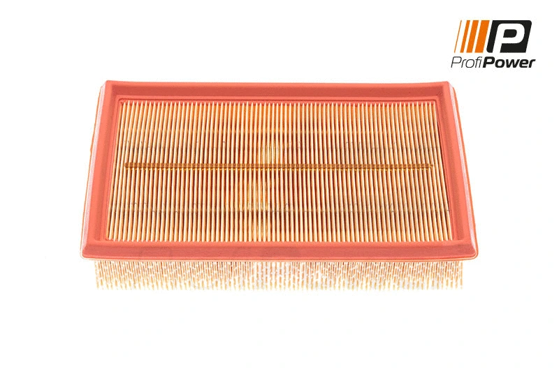 Air Filter (2F0073)