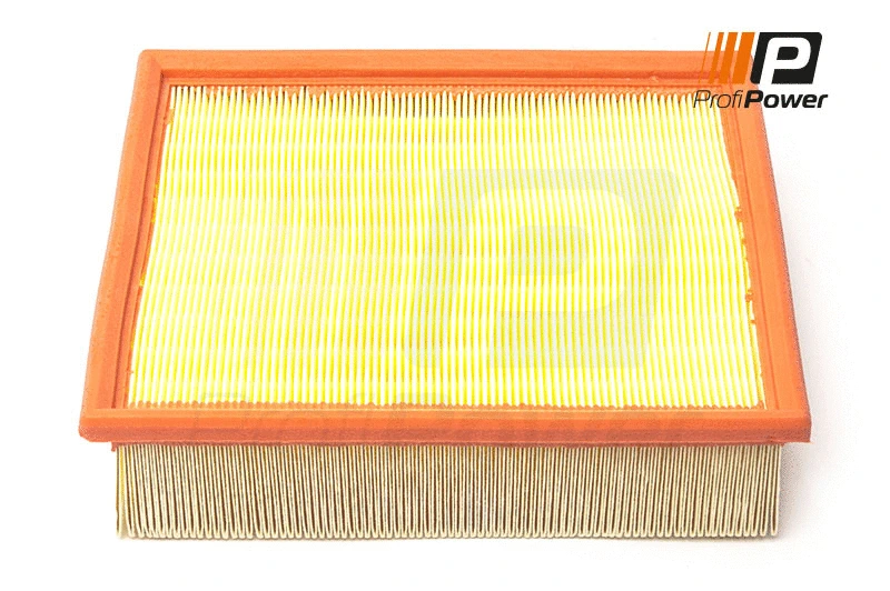 Air Filter (2F0064)