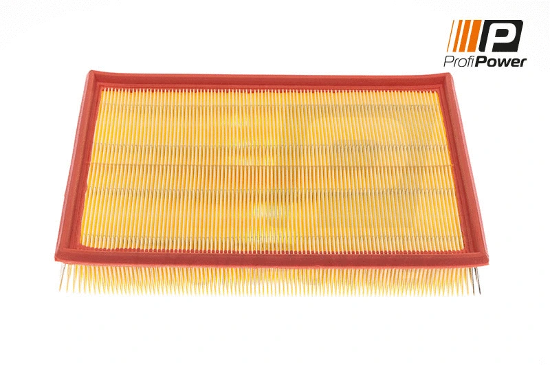 Air Filter (2F0123)