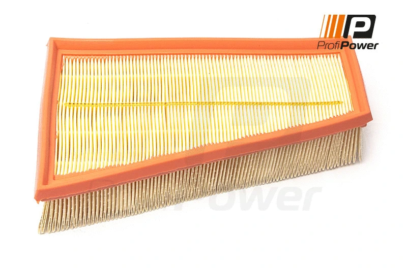 Air Filter (2F0168)
